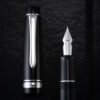 Pilot Custom Heritage 912 fountain pen FA nib