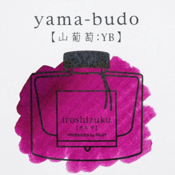 Pilot Iroshizuku Bottled Ink - Image 16