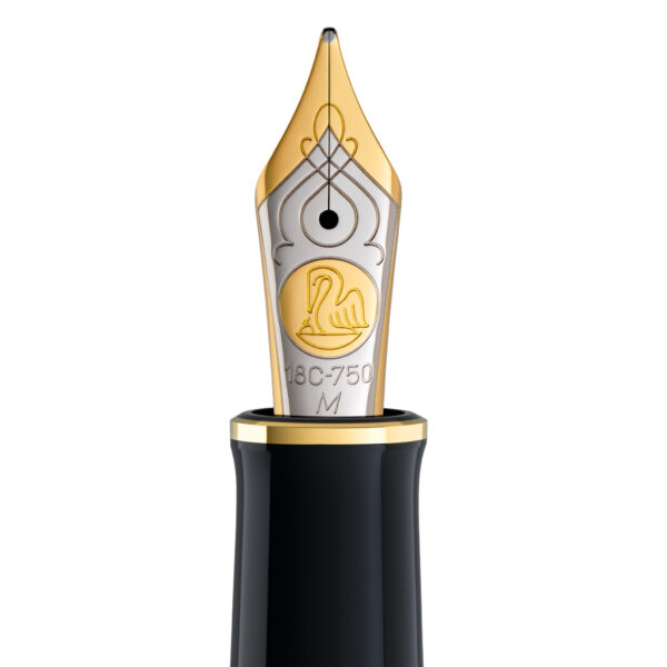Pelikan M800 Nib Unit