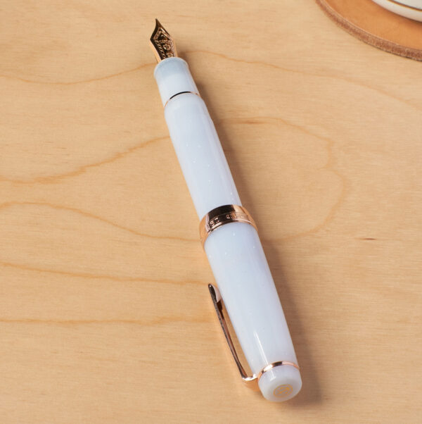 Sailor Pro Gear Every Rose Has Its Thorn fountain pen on table