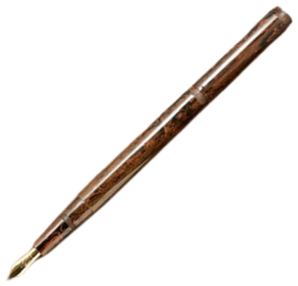 Eboya Yuzen Nichibo Orange fountain pen
